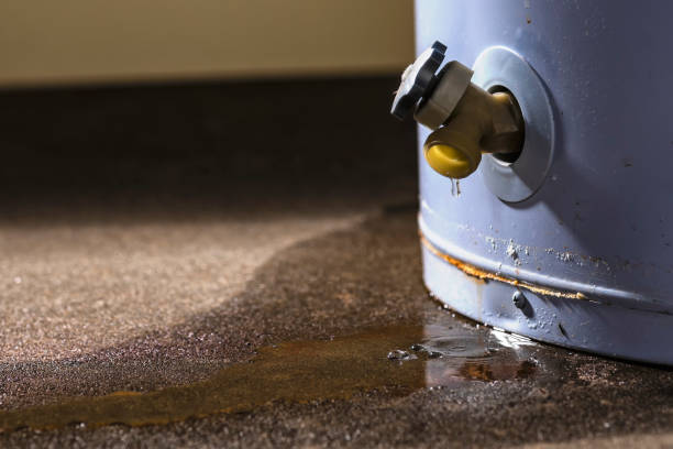 Best Water damage restoration cost  in Herlong, CA
