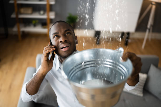 Best Professional water damage repair  in Herlong, CA