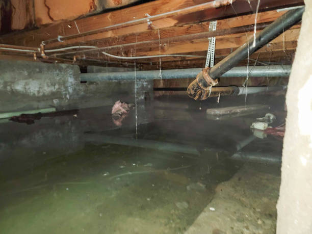 Best Emergency water damage restoration  in Herlong, CA