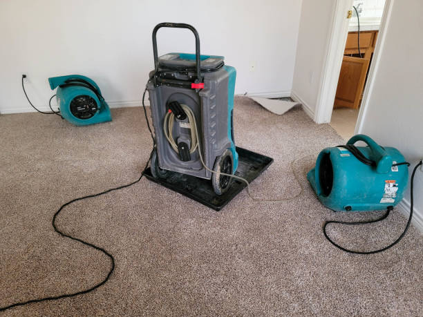 Best Flooded house restoration  in Herlong, CA