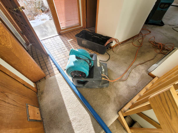 Fire Damage Restoration in Herlong, CA