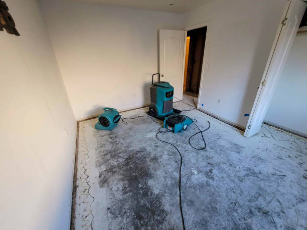 Carpet water damage restoration in Herlong, CA