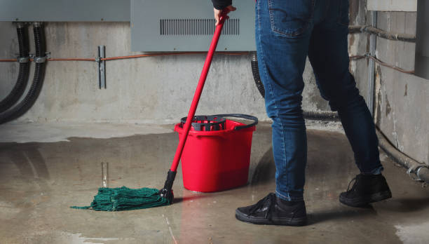 Best Sewage cleanup and water damage restoration  in Herlong, CA