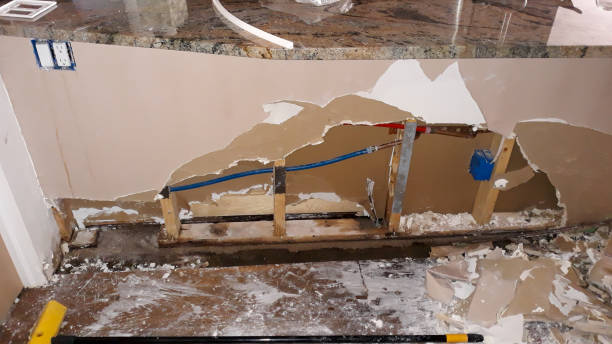 Best Residential water damage restoration  in Herlong, CA