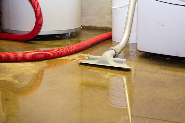 Best 24-hour water damage restoration  in Herlong, CA