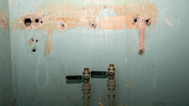 Best Mold removal after water damage  in Herlong, CA